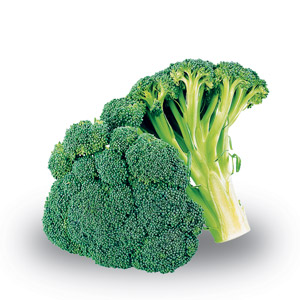 Broccolo